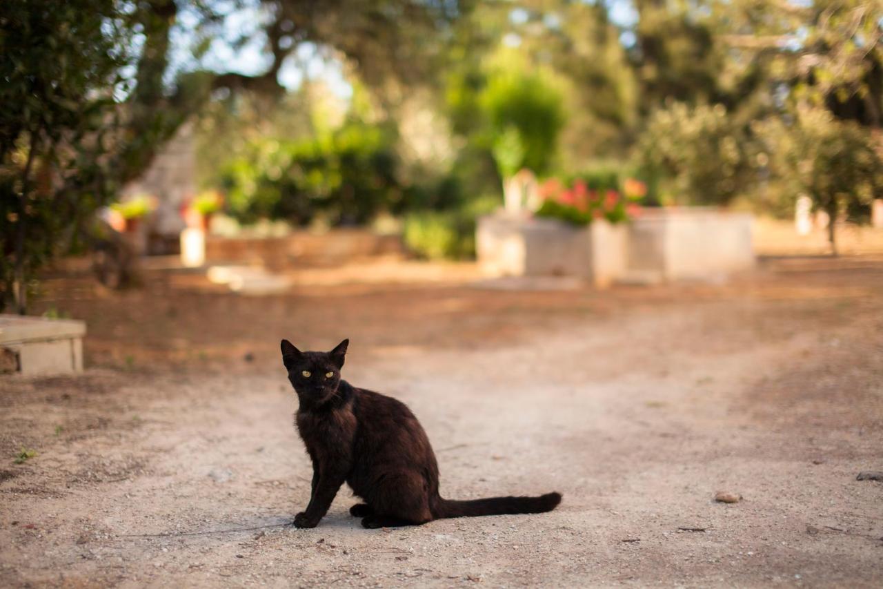 Masseria Fracchicchi Bed and Breakfast Galatina Exterior foto